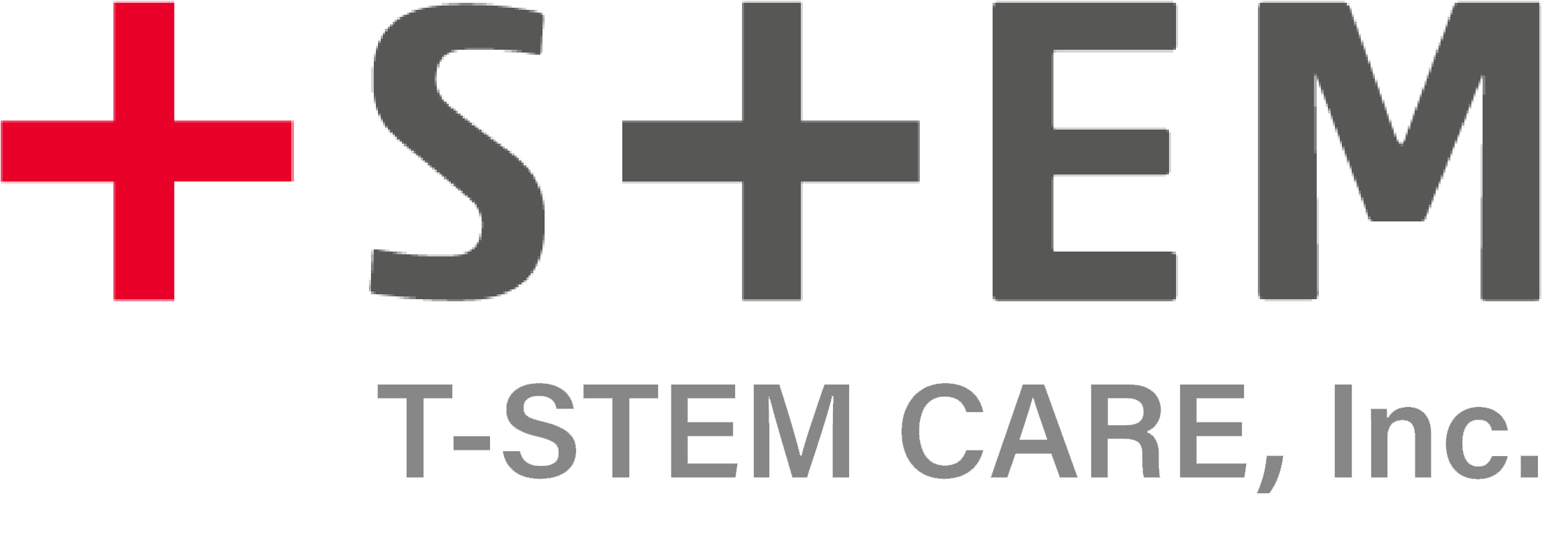 T Stem Care Inc