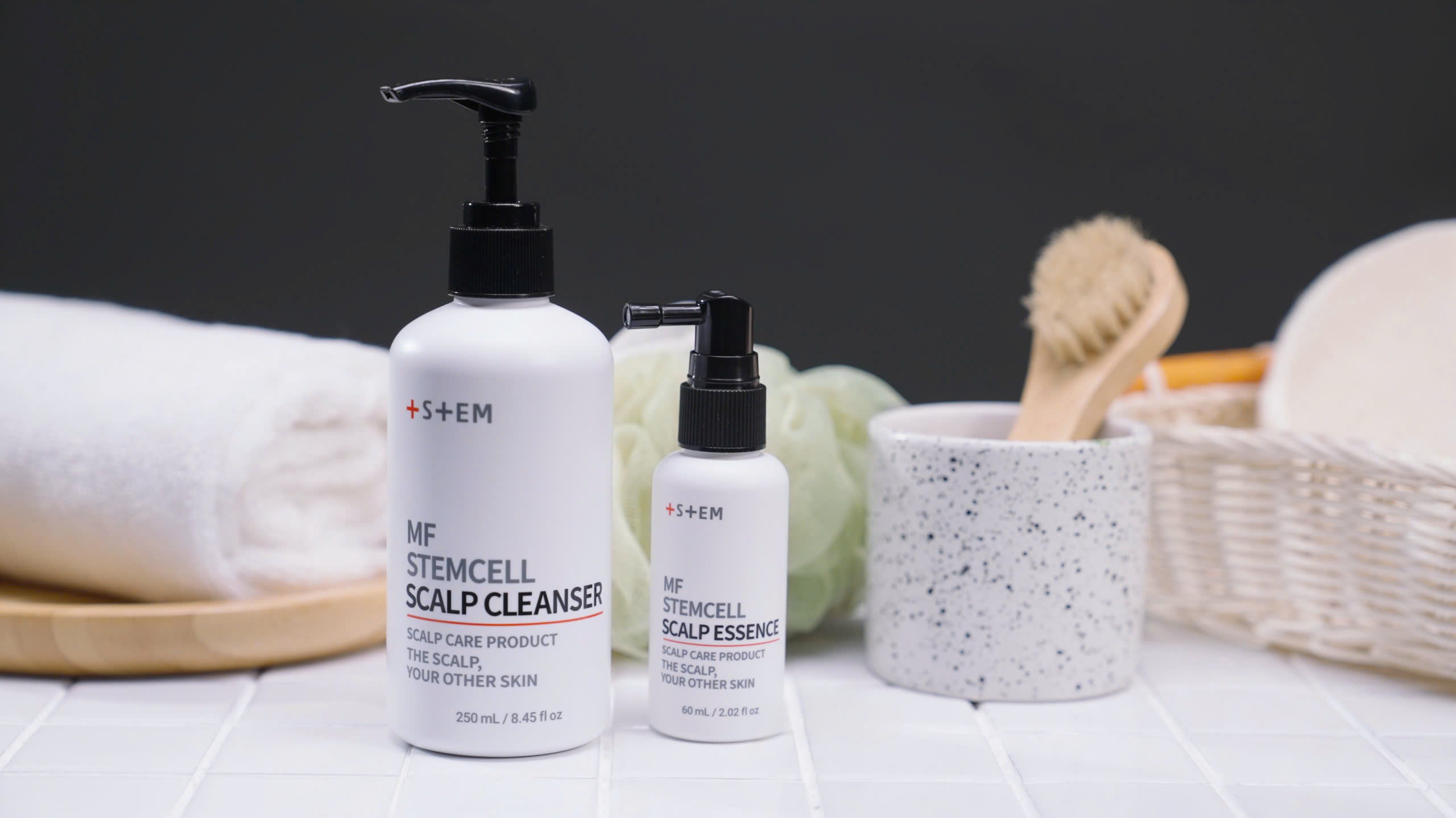 T Stem Care Inc
